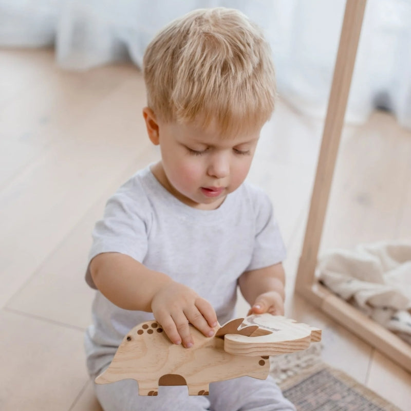 QToys - Dinosaurs Set of 5