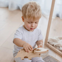QToys - Dinosaurs Set of 5