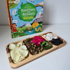 QToys - Rectangular divided tray