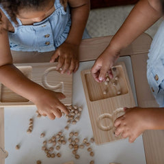 QToys - Jumbo Counting Trays