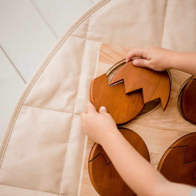 QToys - Dinosaur Hatching Puzzle