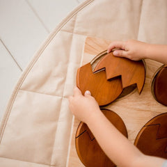 QToys - Dinosaur Hatching Puzzle