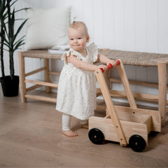 QToys - Classic Baby Walker