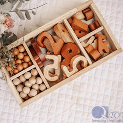 QToys - Montessori Sorting Trays set of 3