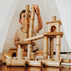 QToys - Bamboo Building Set with Houses