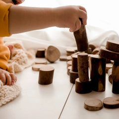 QToys - Tree Counting Set &#8211; 70 pcs