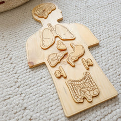 QToys - Wooden Anatomy Puzzle