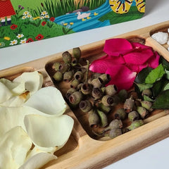 QToys - Rectangular divided tray