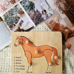 QToys - Horse Knob Puzzle
