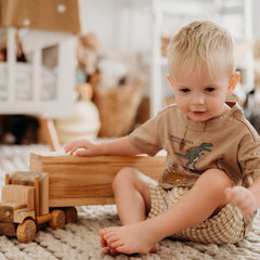 QToys - Cargo Truck