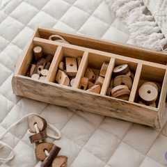 QToys - Tree Lacing and Sequencing Set