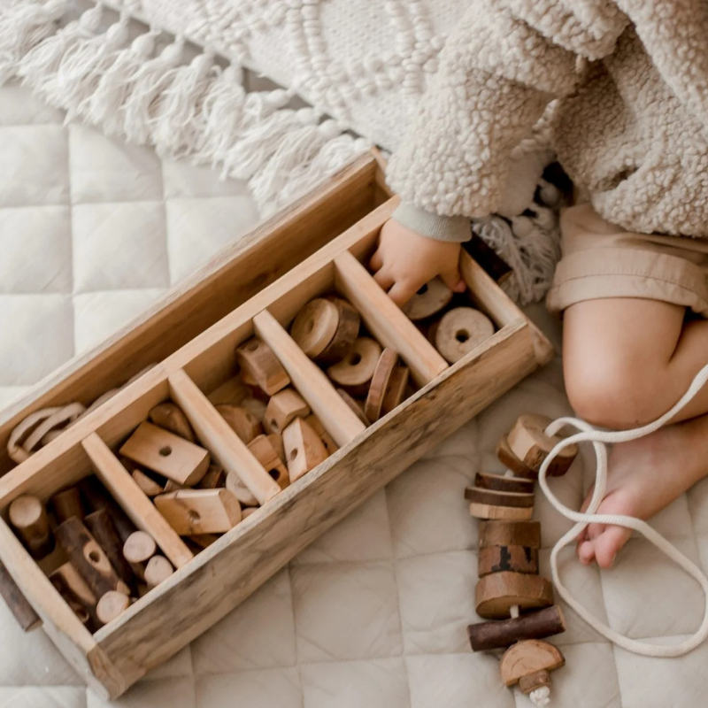 QToys - Tree Lacing and Sequencing Set