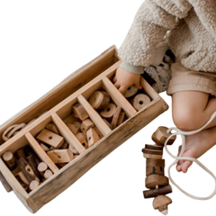 QToys - Tree Lacing and Sequencing Set
