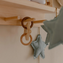 QToys - Star Rattle