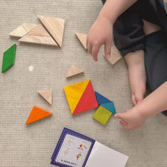 QToys -  Double Tangram