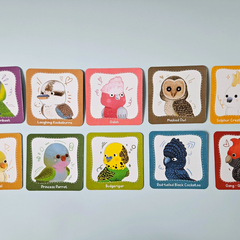 QToys - Australian Birds Set of 10