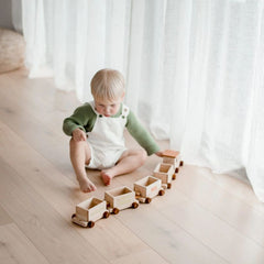 QToys - Sorting Train &amp; Containers