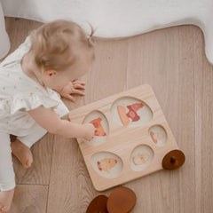 QToys - Hen Life Cycle Puzzle