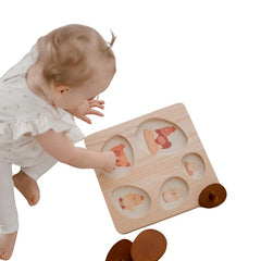 QToys - Hen Life Cycle Puzzle