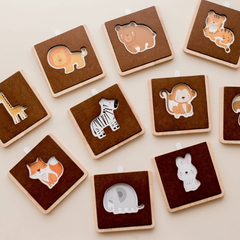QToys - My First Wildlife learning set