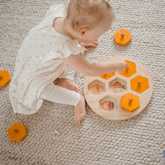 QToys - Bee Life Cycle Hive