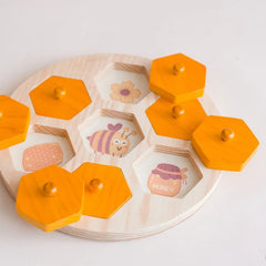QToys - Bee Life Cycle Hive